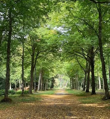 In De Aap - De Finca *